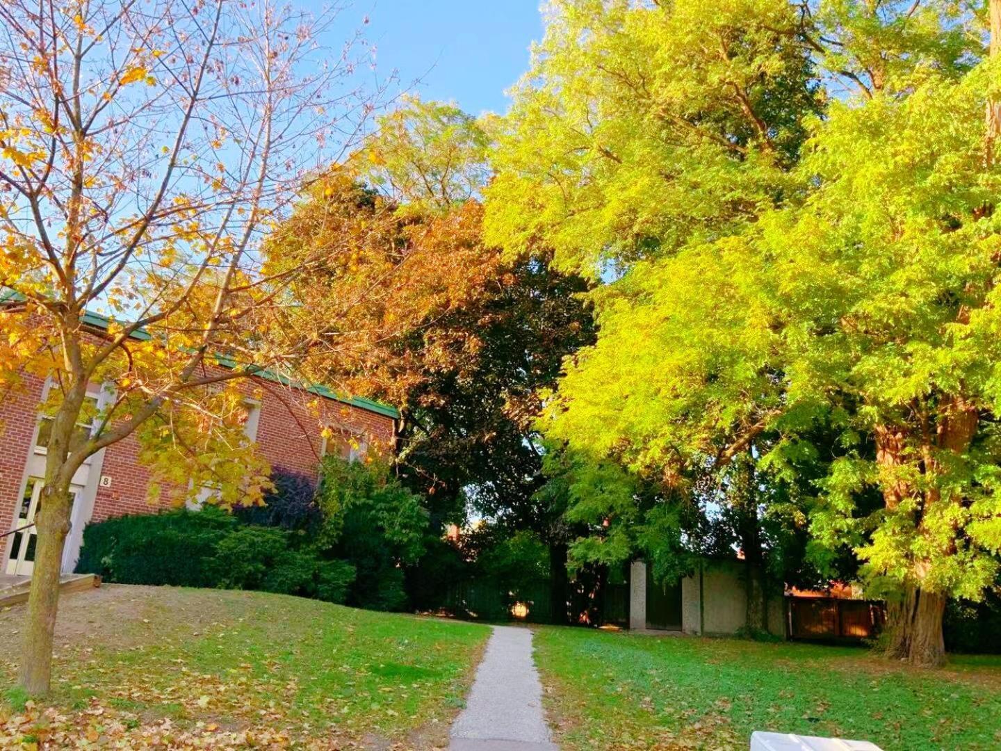 Leaside Garden Guesthouse Toronto Bagian luar foto